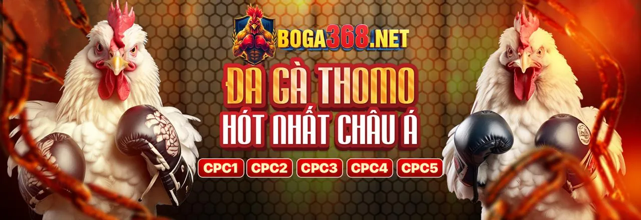 Hình ảnh chính ứng dụng 188bet 250 link mới nhất